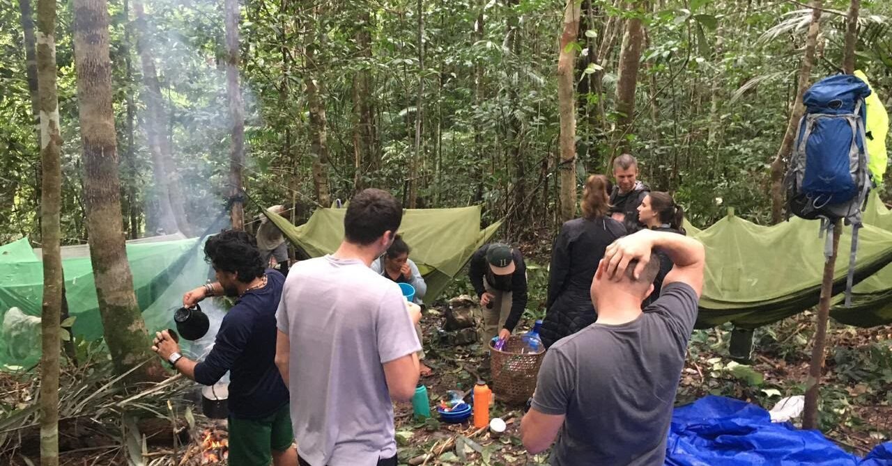 Amazon Adventure Tours in Brazil