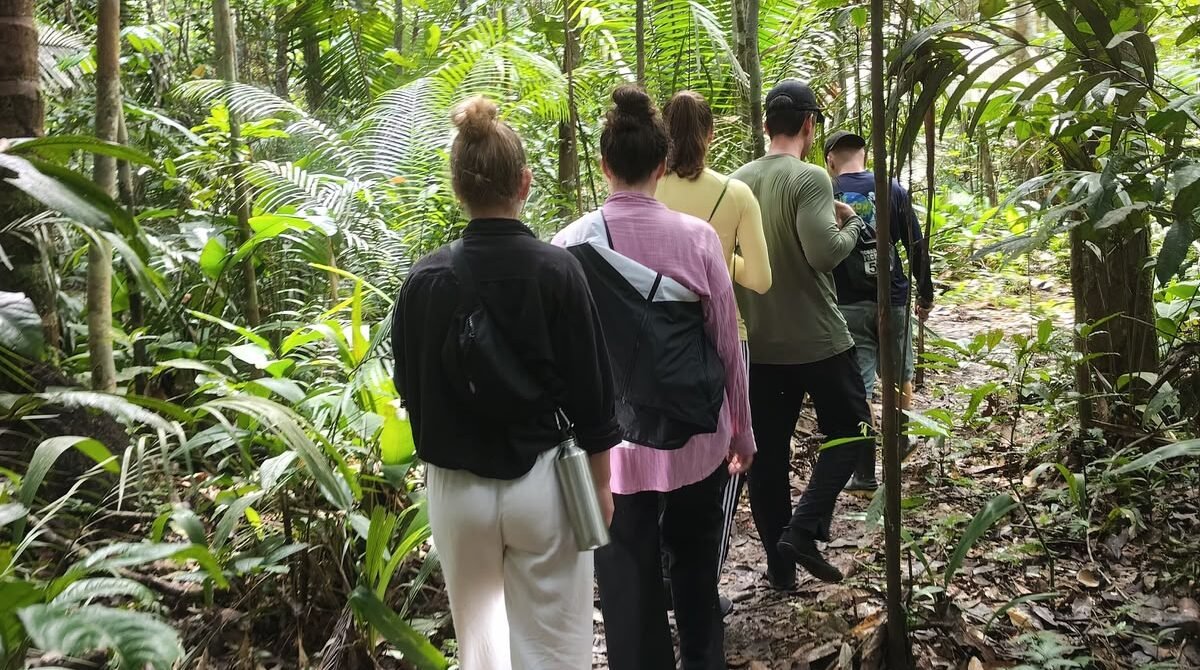 Jungle Excursions in Brazil