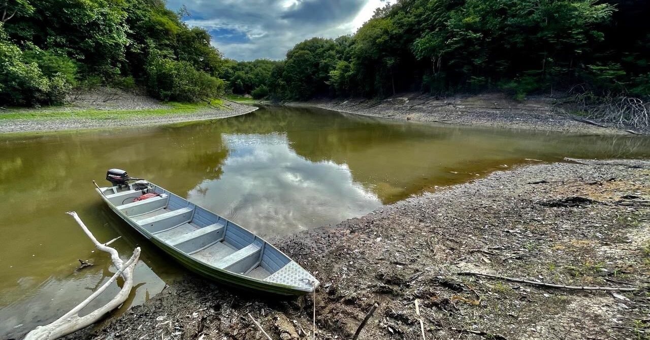 Jungle Tours in Brazil