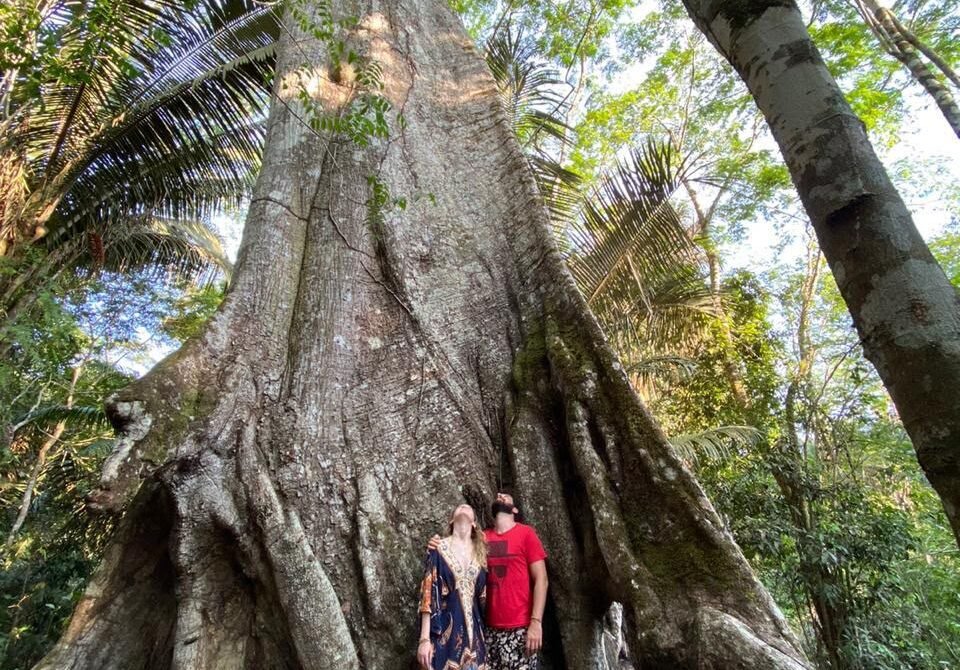 Manaus Jungle Tours
