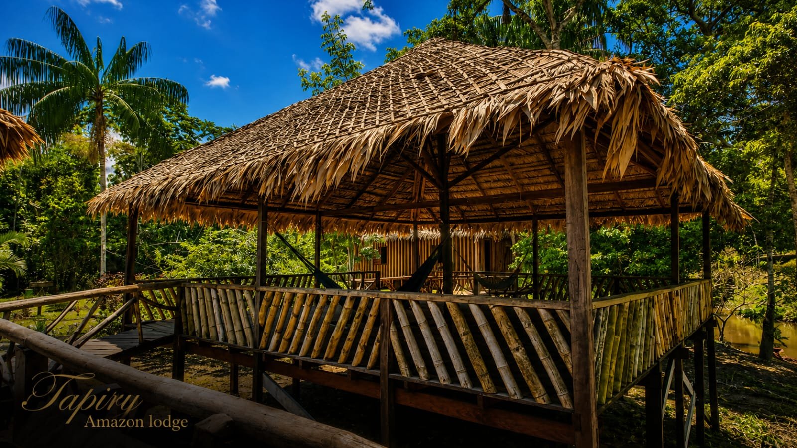 Tapiry Amazon Lodge photo 11