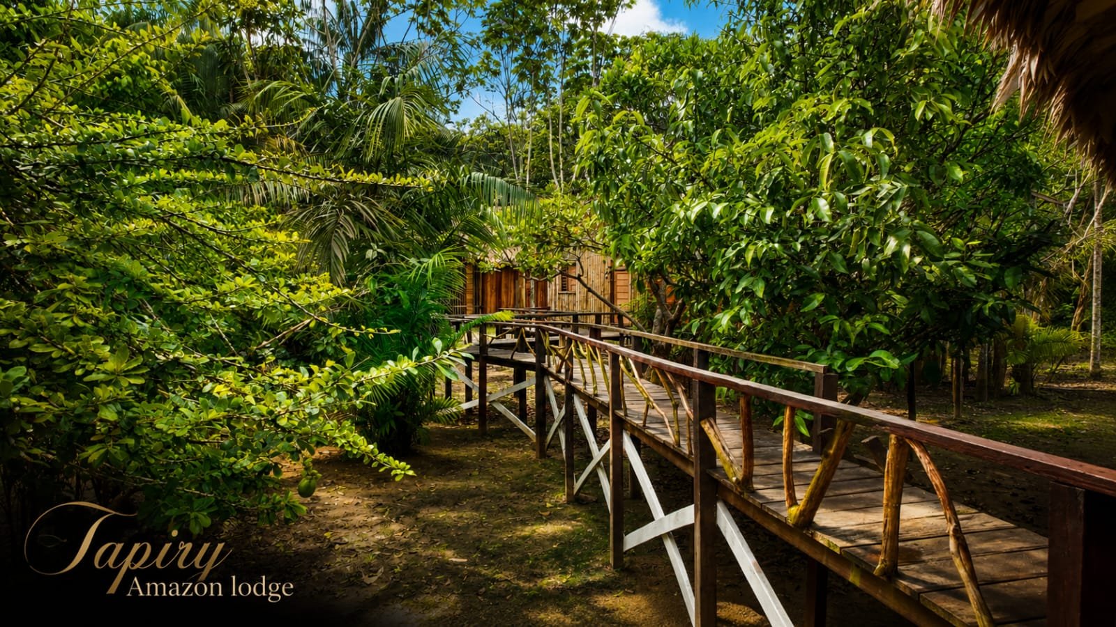 Tapiry Amazon Lodge photo 15