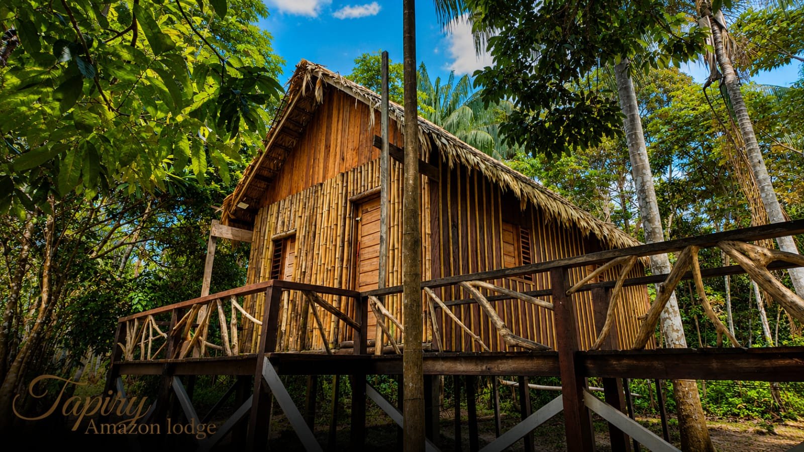 Tapiry Amazon Lodge photo 19