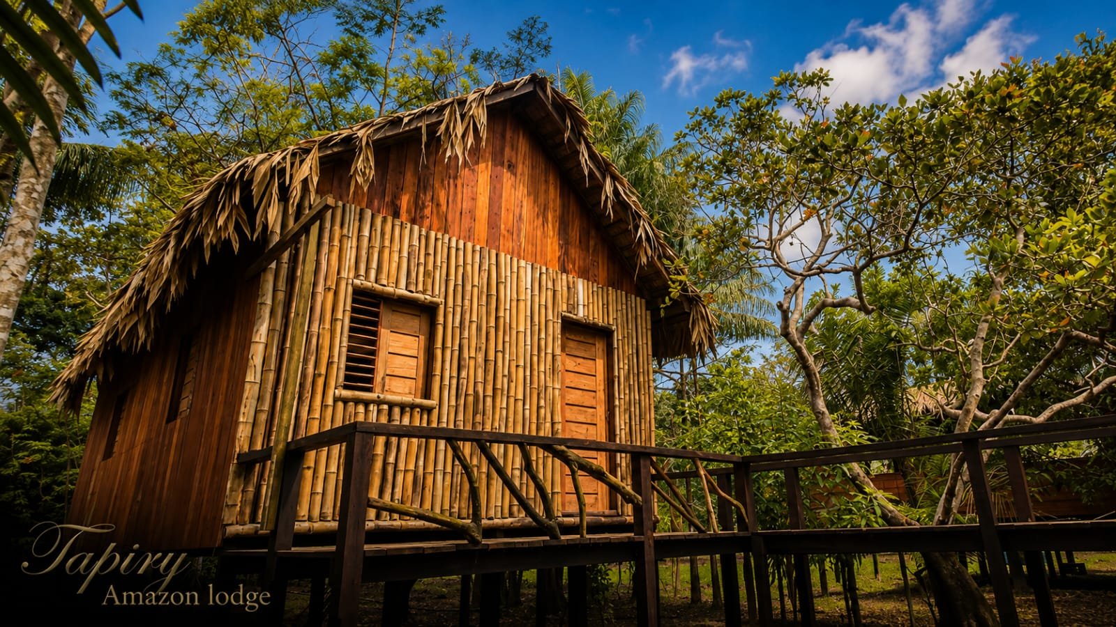 Tapiry Amazon Lodge photo 21