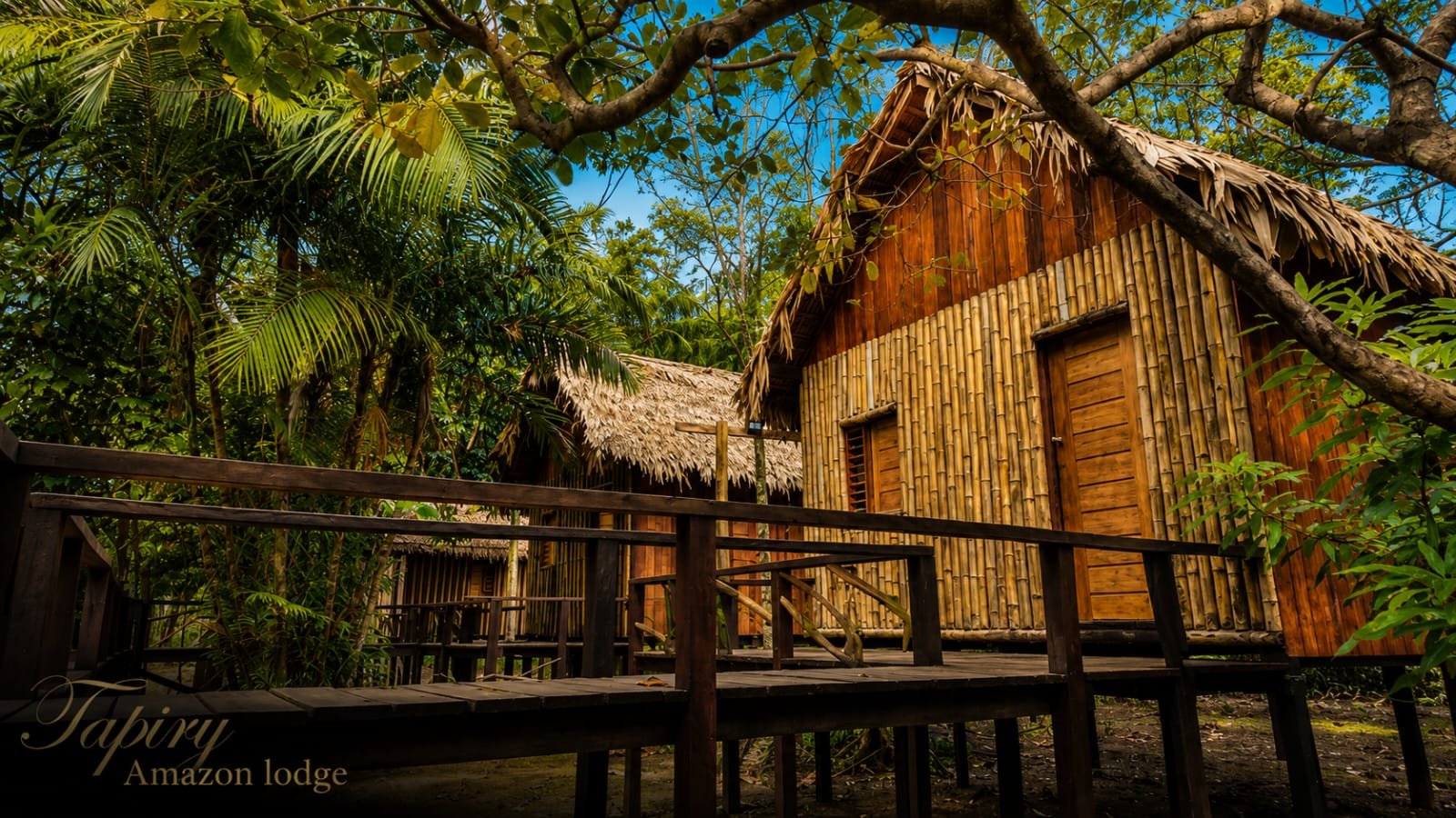 Tapiry Amazon Lodge photo 24