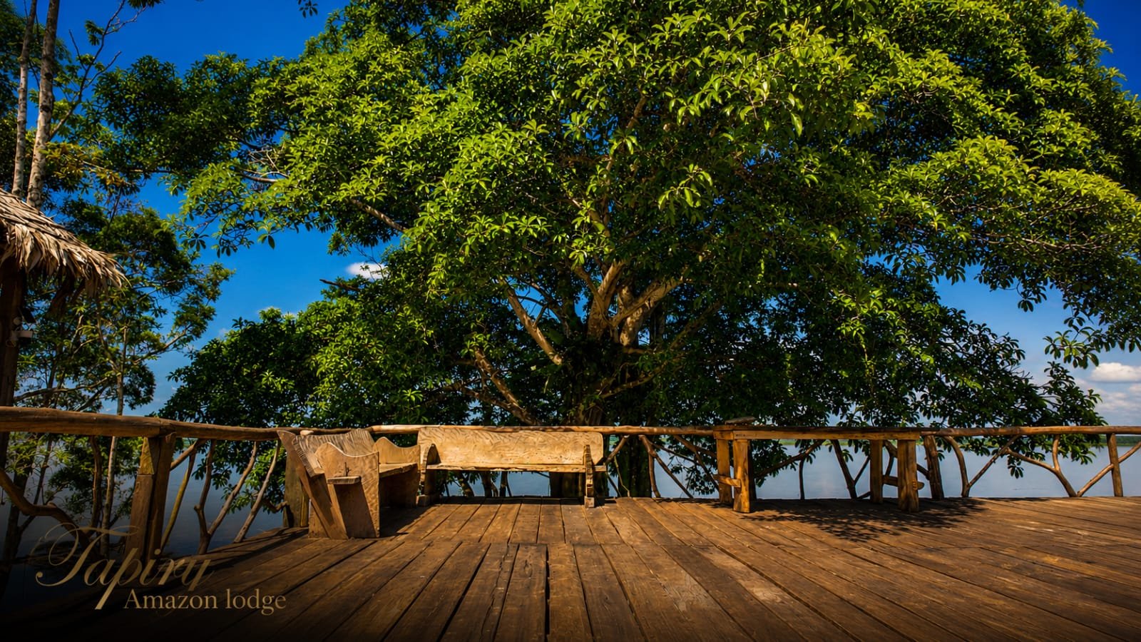 Tapiry Amazon Lodge photo 5