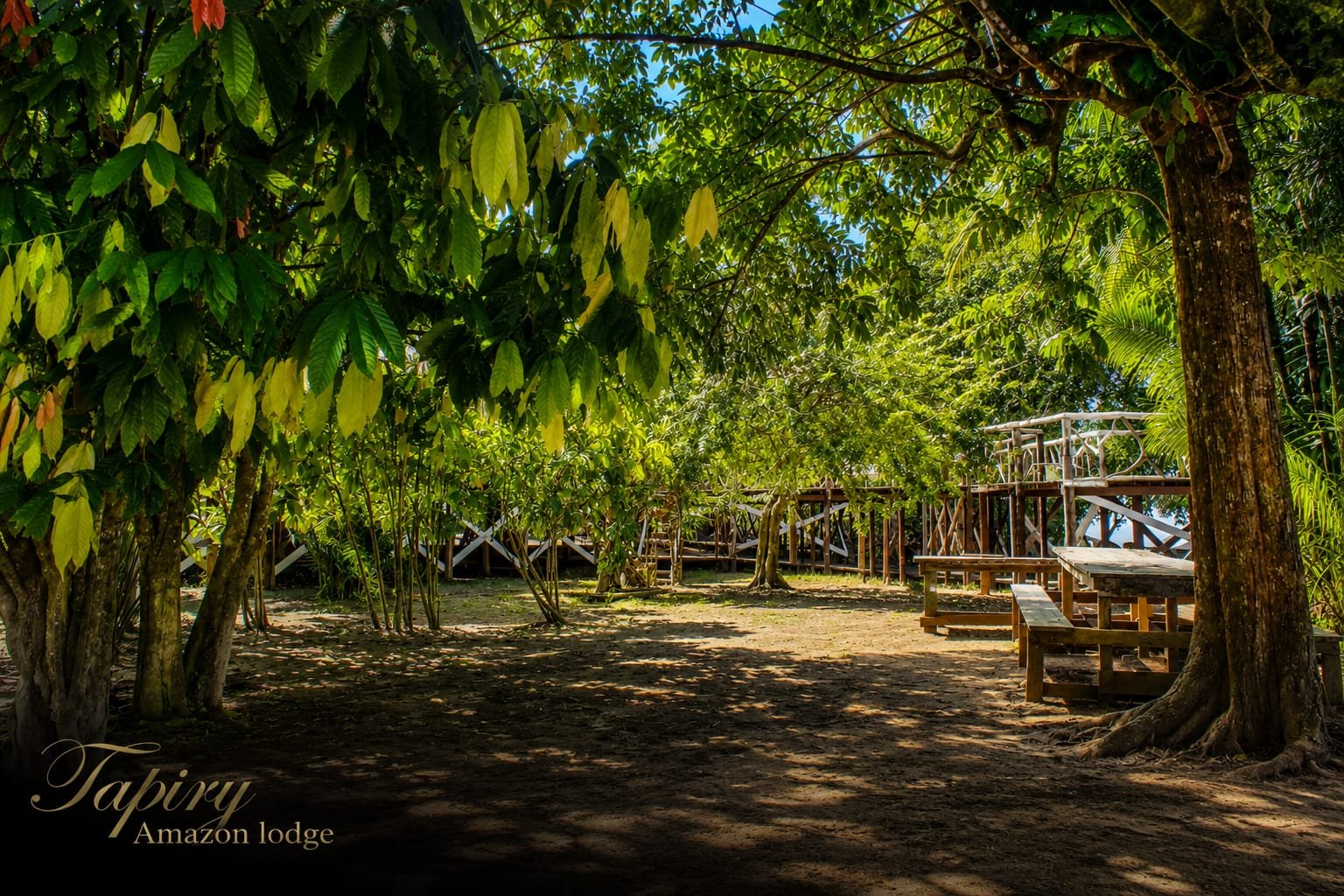 Tapiry Amazon Lodge photo 7