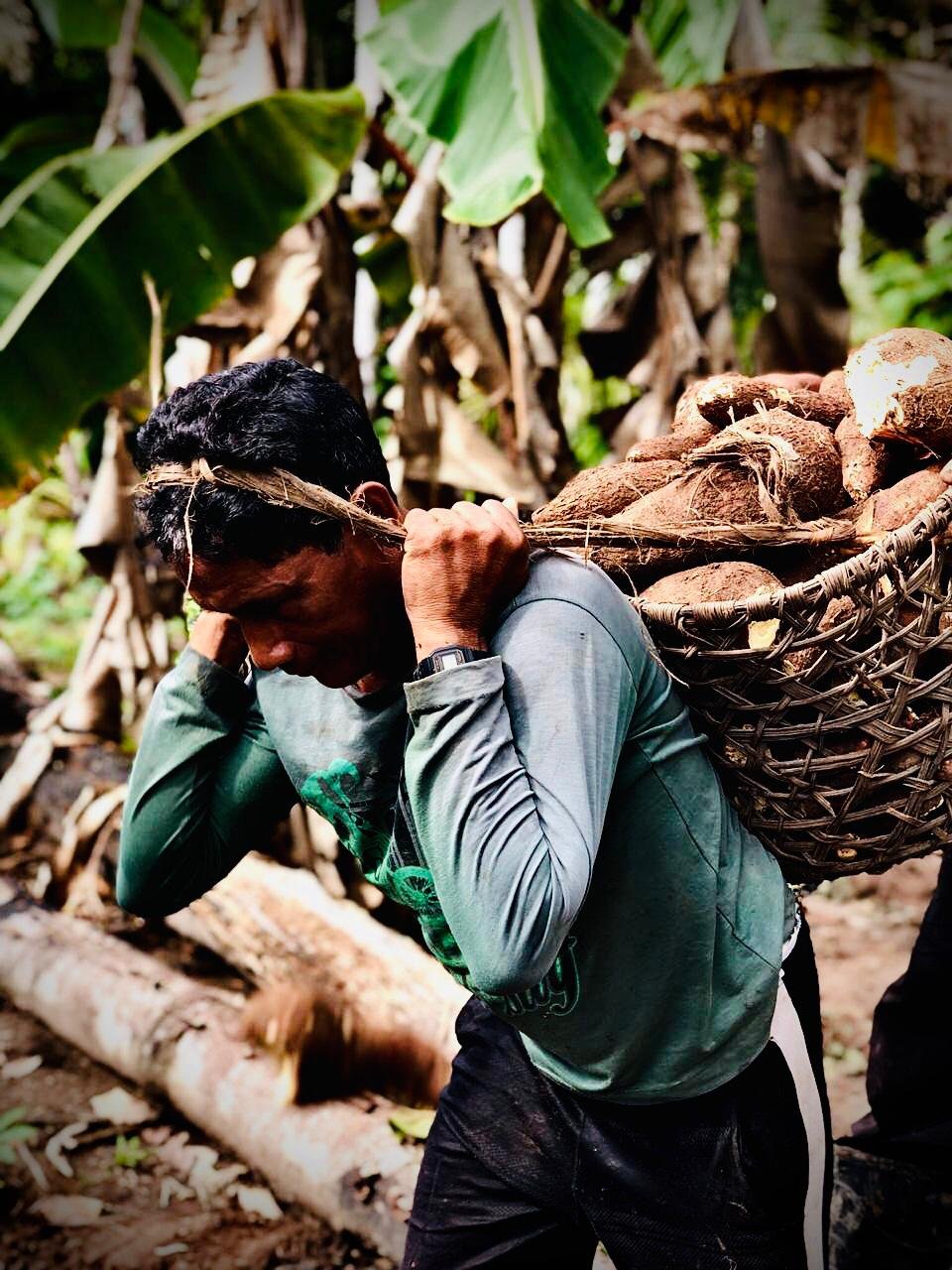 Life in the Deep Amazon